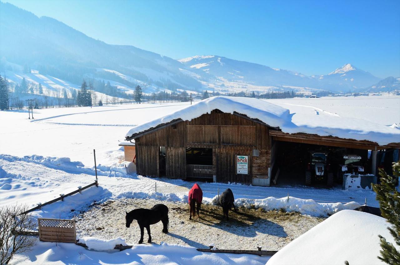 Kleintoedlinggut Villa Leogang Exterior foto