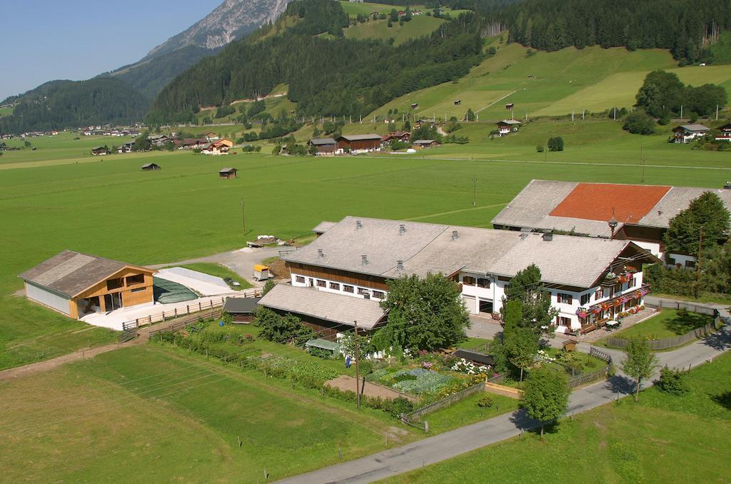 Kleintoedlinggut Villa Leogang Exterior foto